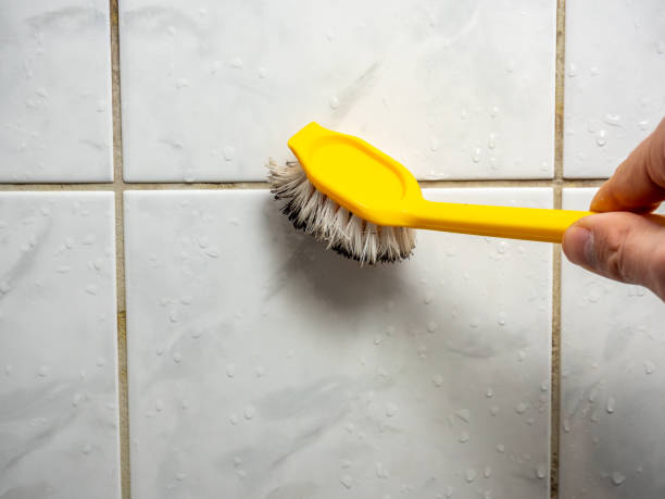 Best Local Mold Removal Service  in Bonnie Brae, IL