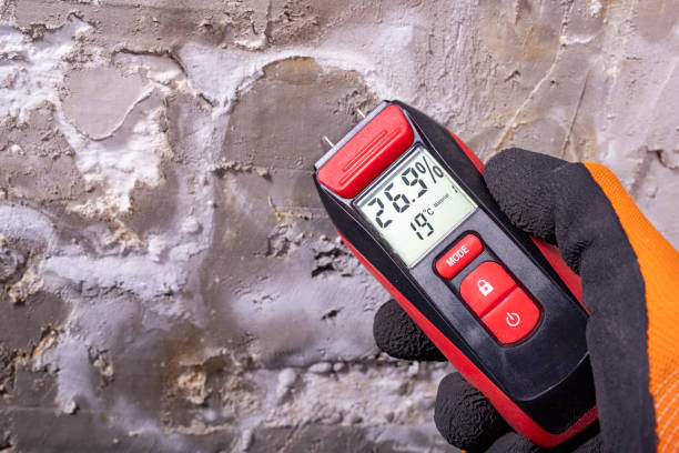 Best Mold Remediation  in Bonnie Brae, IL